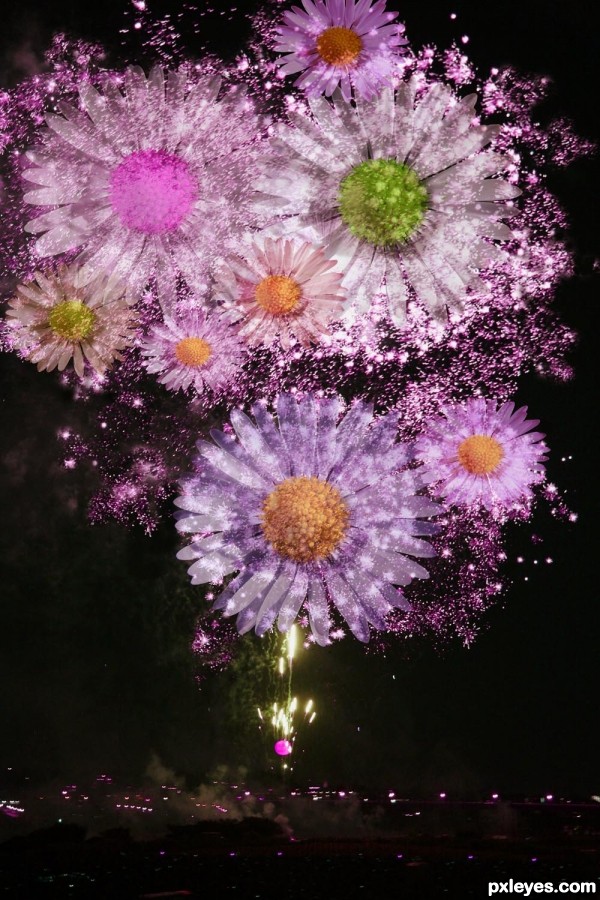 Creation of Daisy Fireworks: Final Result
